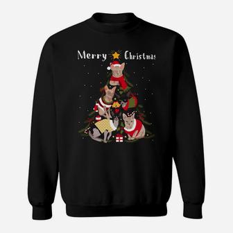 Sphynx Cat Christmas Tree Xmas Cat Lover Sweatshirt Sweatshirt | Crazezy AU