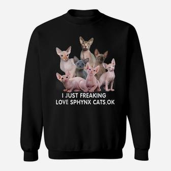 Sphynx Cat Lovers Sphinx Hairless Cat Mothers Day Funny Sweatshirt | Crazezy DE