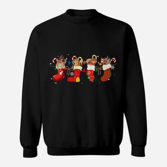 Squirrel In Socks Celebrates Xmas Funny Santa Hat Christmas Sweatshirt Sweatshirt | Crazezy