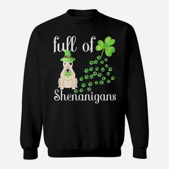 St Patricks Day Bull Terrier Shirt Dog Shamrocks Green Paw Sweatshirt | Crazezy