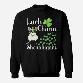 St Patricks Day French Bulldog Shirt Dog Shamrocks Green Paw Sweatshirt | Crazezy