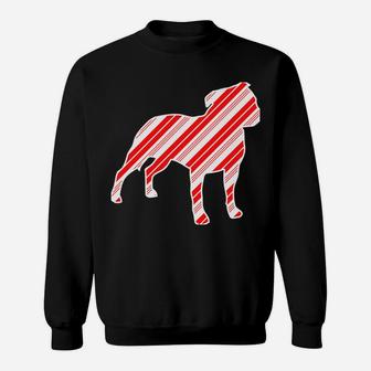 Staffordshire Pit Bull Terrier Peppermint Bark Christmas Dog Sweatshirt | Crazezy UK