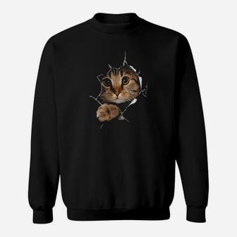 Sweet Kitten Torn Cloth Funny Cat Lover Cat Owner Cat Lady Sweatshirt | Crazezy UK