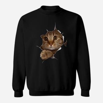 Sweet Kitten Torn Cloth - Funny Cat Lover Cat Owner Cat Lady Sweatshirt Sweatshirt | Crazezy UK