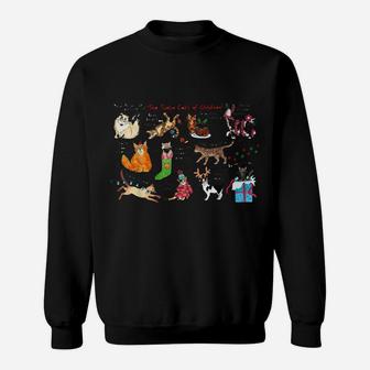 The Twelve Cats Of Christmas Shirt Funny Holiday Cat Lovers Sweatshirt | Crazezy DE