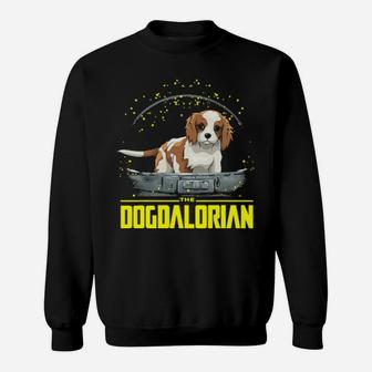 Thedogdalorian Sweatshirt - Monsterry