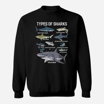 Types Of Sharks Shirt Sea Animal Shirt For Sharks Lover Sweatshirt | Crazezy