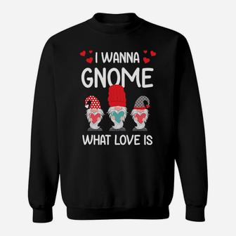 Valentine Humor His And Her Gift I Want Gnome What Love Is Sweatshirt - Monsterry