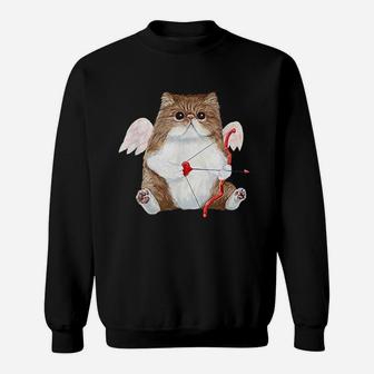 Valentines Day Cat Cupid Heart Sweatshirt | Crazezy