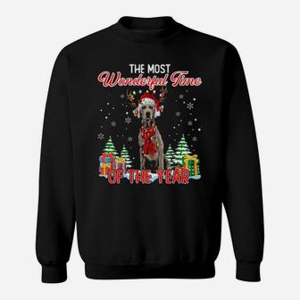 Weimaraner The Most Wonderful Time Of The Year Sweatshirt - Monsterry UK