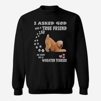 Wheatie Dog Mom Dad Costume Cute Soft Coated Wheaten Terrier Sweatshirt | Crazezy