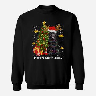 Womens Newfoundland Dog Christmas Lights Tree Santa Xmas Pajamas Sweatshirt | Crazezy