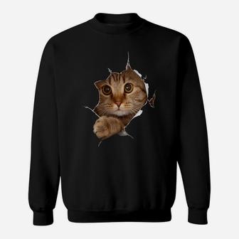 Womens Sweet Kitten Torn Cloth - Funny Cat Lover Cat Owner Cat Lady Sweatshirt | Crazezy