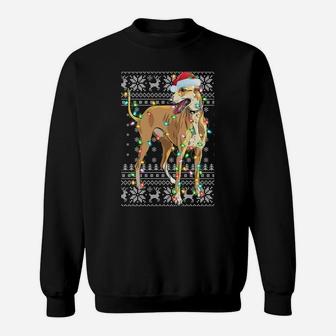 Xmas Lighting Santa Hat Ugly Greyhound Christmas Sweatshirt Sweatshirt | Crazezy