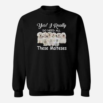 Yes I Really Do Need All These Malteses Sweatshirt - Monsterry CA