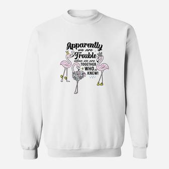 Apparently We're Trouble When We Are Together Who Knew Flamingo Sweatshirt - Thegiftio UK