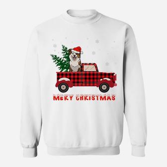 Australian Shepherds Christmas Truck Tree Mom Dad Dog Gift Sweatshirt | Crazezy