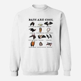 Bats Are Cool Lovely Bats Kinds Sweatshirt - Thegiftio UK