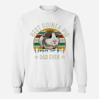 Best Guinea Pig Dad Ever Shirt Funny Guinea Pig Daddy Father Sweatshirt | Crazezy