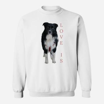 Border Collie Shirt Women Men Kids Love Dog Mom Dad Pet Tee Sweatshirt | Crazezy AU