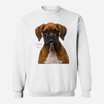 Boxer Dog Shirt Dog Mom Dad Love Is Puppy Pet Women Men Kids Sweatshirt | Crazezy CA