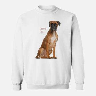 Boxer Dog Shirt Dog Mom Dad Love Is Puppy Pet Women Men Kids Sweatshirt | Crazezy