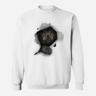 Cat Shirt, Gray Cat Tshirt, Cat Torn Cloth Shirt, Kitten Sweatshirt | Crazezy