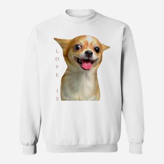 Chihuahua Shirt Dog Mom Dad Tee Love Pet Puppy Chiuauaha T Sweatshirt | Crazezy UK