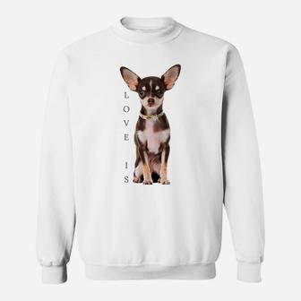 Chihuahua Shirt Dog Mom Dad Tee Love Pet Puppy Chiuauaha T Sweatshirt | Crazezy UK