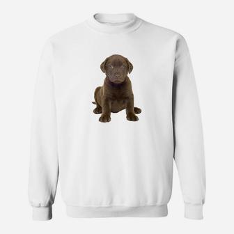Chocolate Lab Puppy Sweatshirt | Crazezy