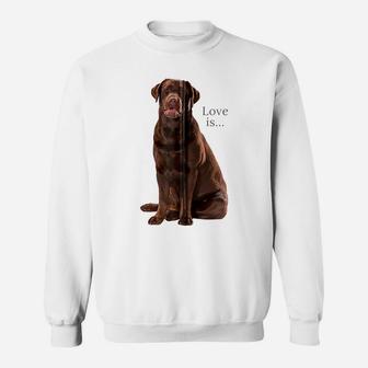 Chocolate Labrador Retriever Shirt Lab Tee Dog Mom Dad Puppy Zip Hoodie Sweatshirt | Crazezy AU