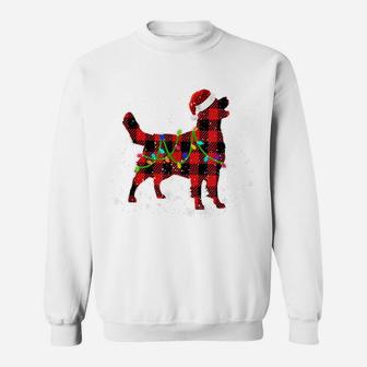 Christmas Lights Golden Retriever Dog Lover Dog Dad Dog Mom Sweatshirt | Crazezy