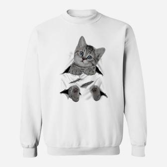 Cute Cat Peeking Out Hanging Funny Gift For Kitty Lovers Sweatshirt | Crazezy