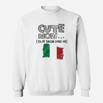 Cute Now Italy Sweatshirt | Crazezy