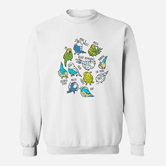 Daily To Do Budgerigar Sweatshirt | Crazezy UK
