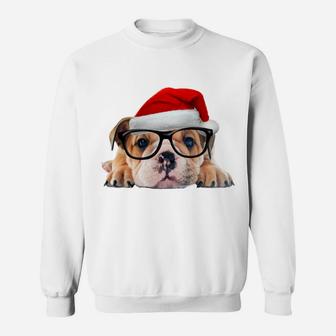 English Bulldog Puppy Glasses Dog Santa Hat Christmas Gift Sweatshirt Sweatshirt | Crazezy DE