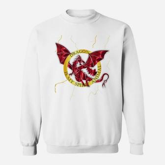Fantasy Lover Dragon Is My Spirit Animal Graphic Design Sweatshirt | Crazezy
