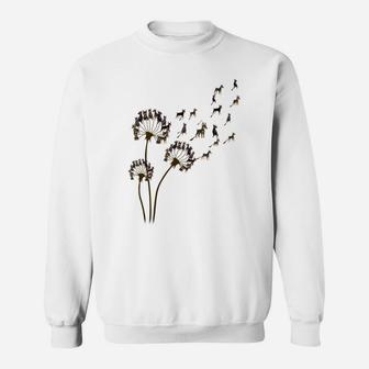 Flower Miniature Pinscher Dog Dandelion Animal Lovers Tees Sweatshirt | Crazezy AU