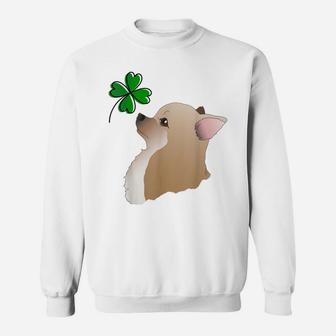 Fun Irish Outfit Chihuahua Dog Owner St Patrick Day Clover Sweatshirt | Crazezy