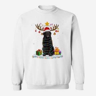 Funny Black Lab Dog Christmas Tee Reindeer Christmas Lights Sweatshirt | Crazezy
