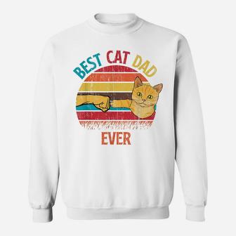 Funny Cute Cat Kitty Animals Pet Fun Lovers Sweatshirt | Crazezy