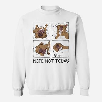 Funny Lazy Pitbull Not Today World Lazy Day Pitbull Lovers Sweatshirt Sweatshirt | Crazezy CA