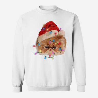 Funny Xmas Persian Cat Christmas Lights Adorable Face Fluffy Sweatshirt | Crazezy