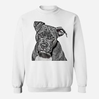 Graphic Novel For Dog Mom And Dog Dad Pit Bull Sweatshirt | Crazezy
