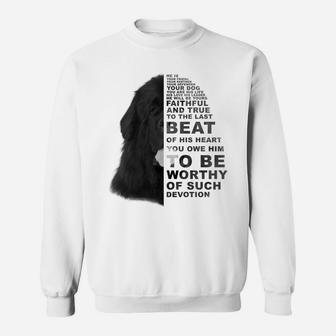 He Is Your Friend Your Partner Your Dog Newfoundland Dogs Sweatshirt Sweatshirt | Crazezy