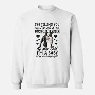 I Am Not A Boston Terrier Sweatshirt | Crazezy DE