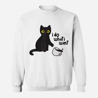 I Do What I Want Cat Funny Gift For Pet Lovers Sweatshirt | Crazezy CA