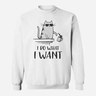 I Do What I Want Funny Cat Lovers Sweatshirt | Crazezy CA