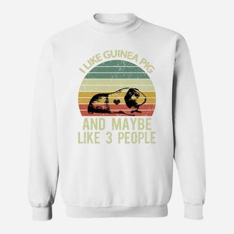 I Like Guinea Pigs And Maybe 3 People Retro Funny Guinea Pig Sweatshirt | Crazezy AU