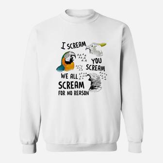 I Scream You Scream Funny Parrot Sweatshirt - Thegiftio